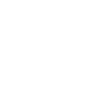 Synapsis